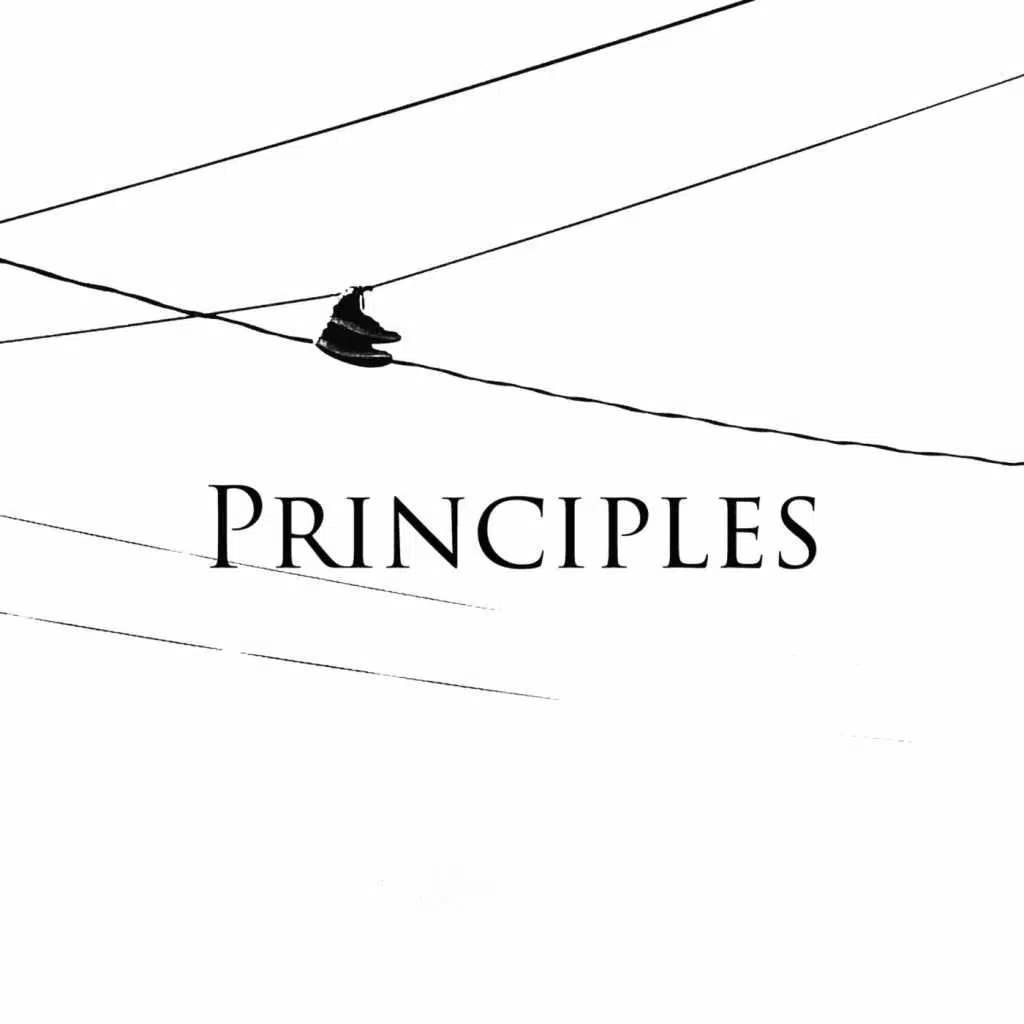 Principles
