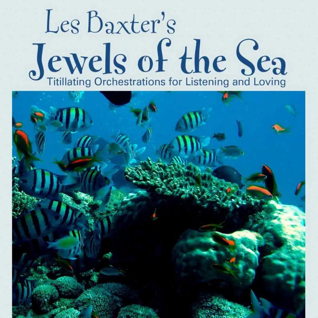 Dawn Under The Sea