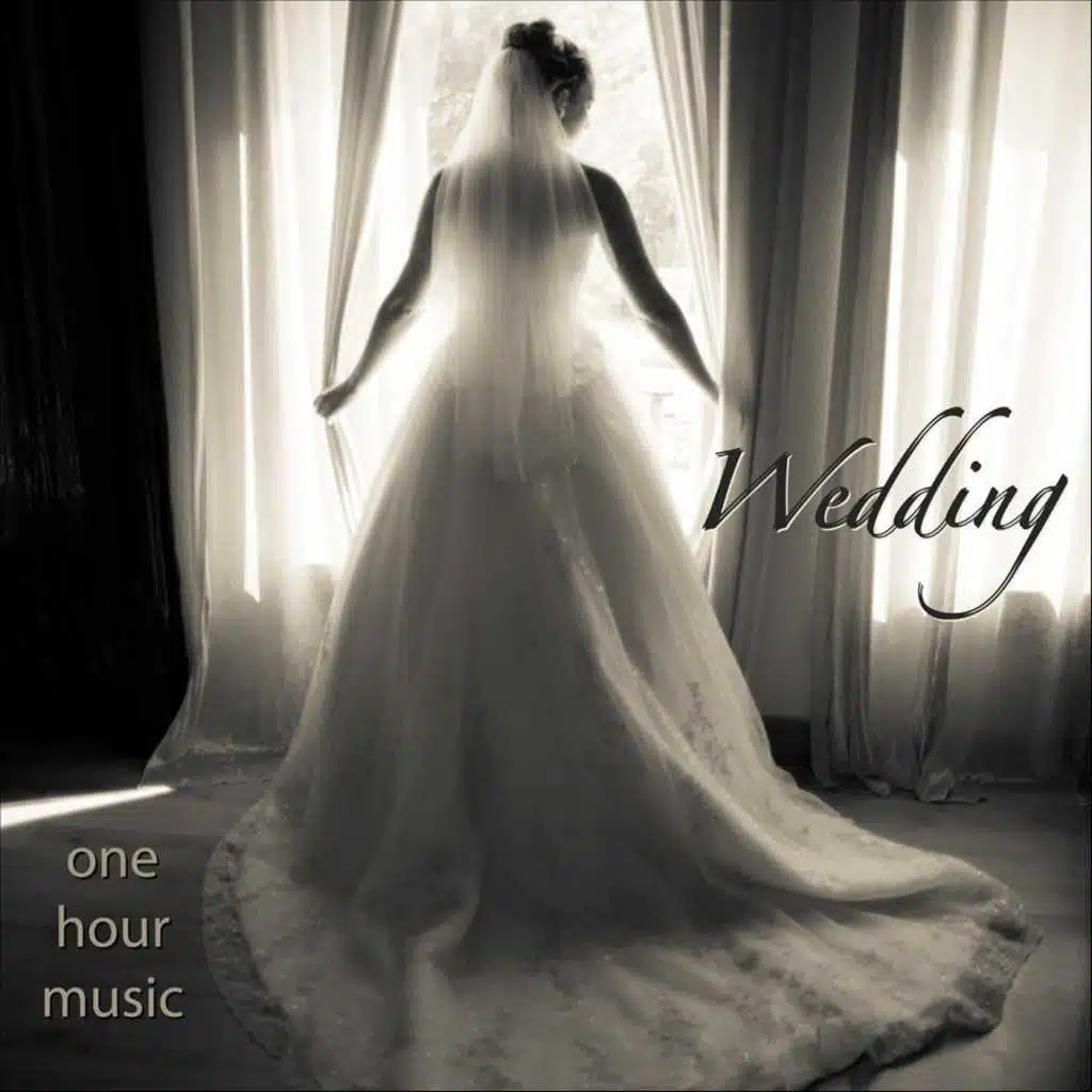 Canon in D  (Piano and Violin)