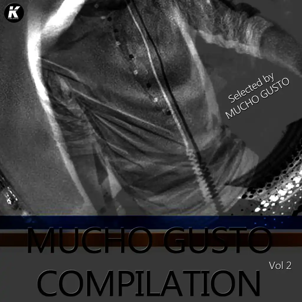 Mucho Gusto Compilation, Vol. 2