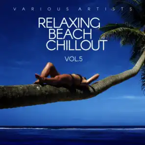 Relaxing Beach Chillout, Vol. 5