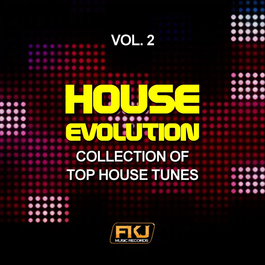 House Evolution, Vol. 2 (Collection of Top House Tunes)