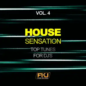 House Sensation, Vol. 4 (Top Tunes for DJ's)