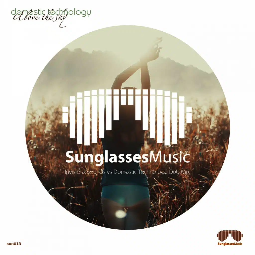 Above the Sky (Invisible Sounds vs. Domestic Technology Dub Mix)