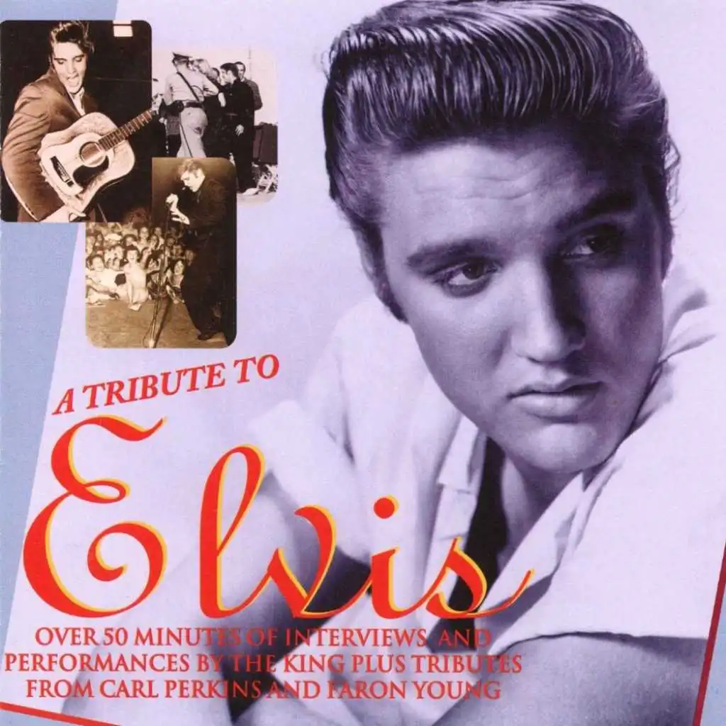 A Tribute To Elvis