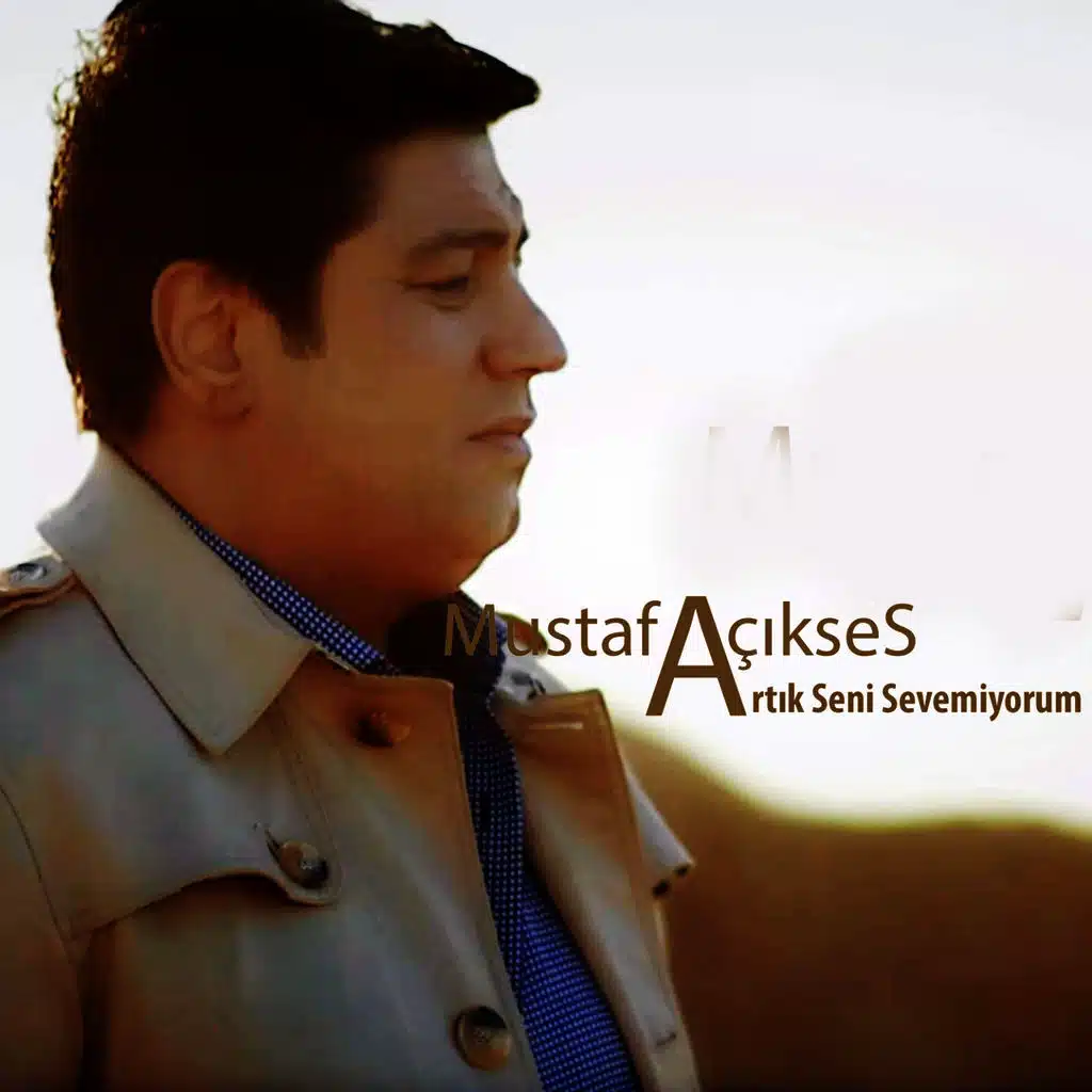 Artık Seni Sevemiyorum