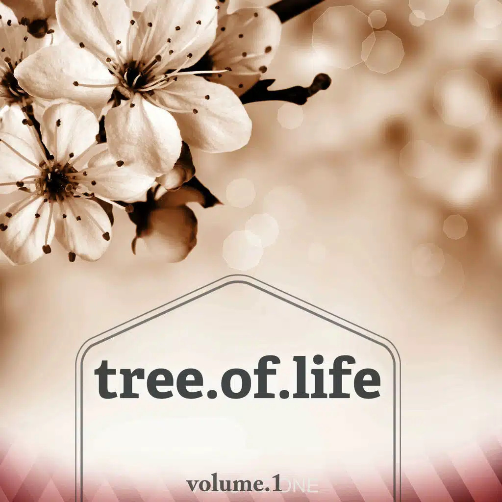 Roberto Sol, Oliver Dawi