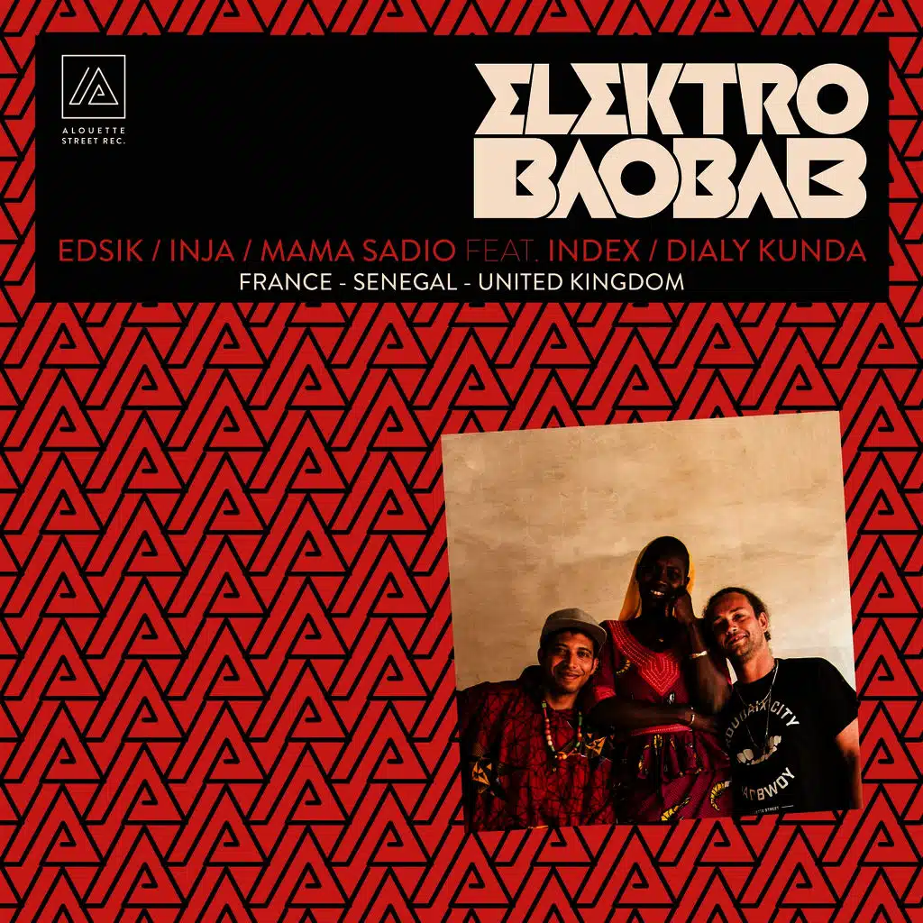 Elektro baobab (France - Senegal - United Kingdom)