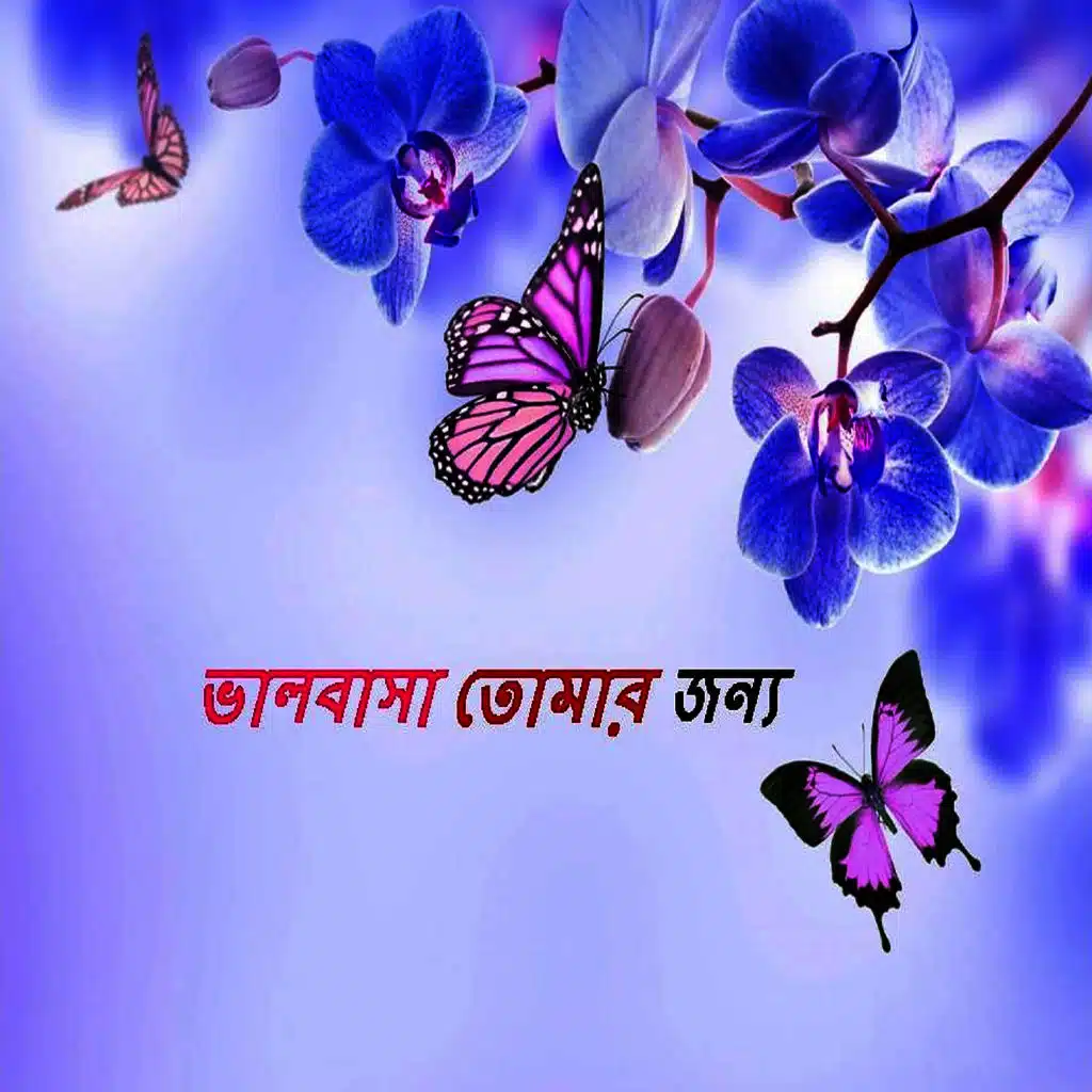 Valobsha Tomar Jonno