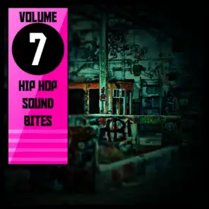 Hip Hop Sound Bites, Vol. 7