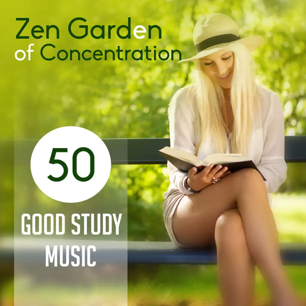 Zen Garden of Concentration: 50 Good Study Music to Focus and Improve Memory, Exam Preparation Songs, Mindfulness Meditation and Relieving Stress