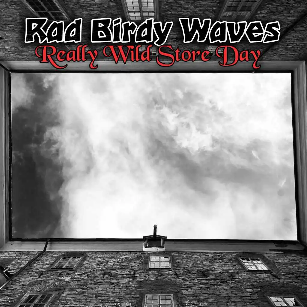 Rad Birdy Waves