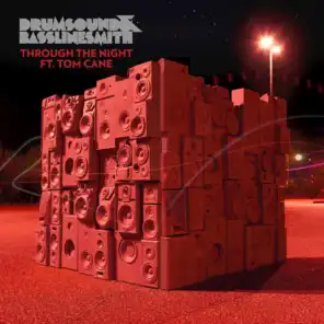Through the Night (Remixes) [feat. Tom Cane]
