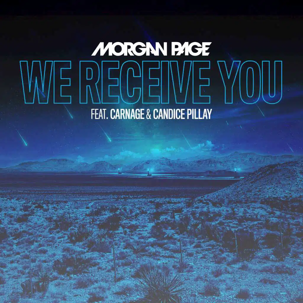 We Receive You (feat. Carnage & Candice Pilay)