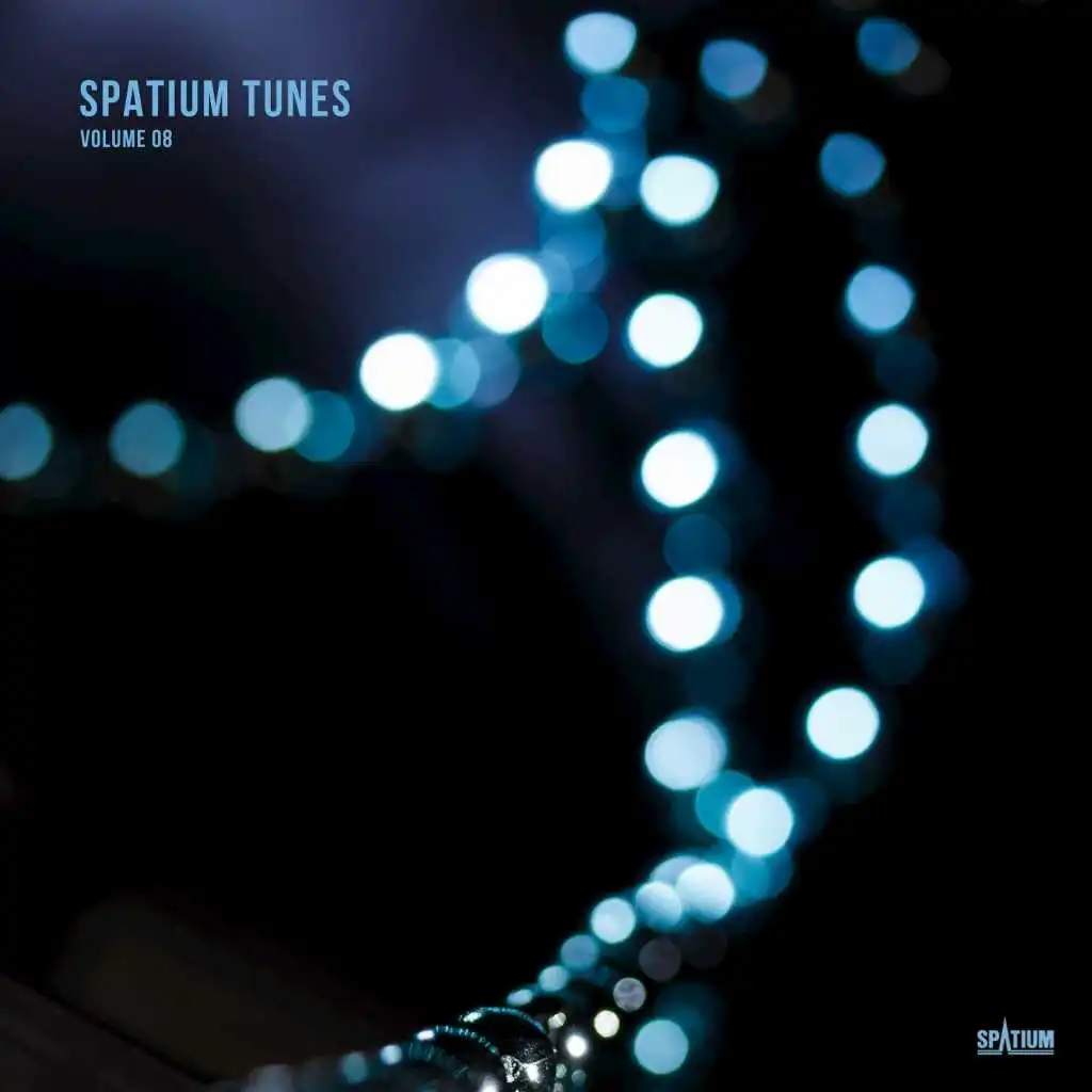 Spatium Tunes, Vol. 8