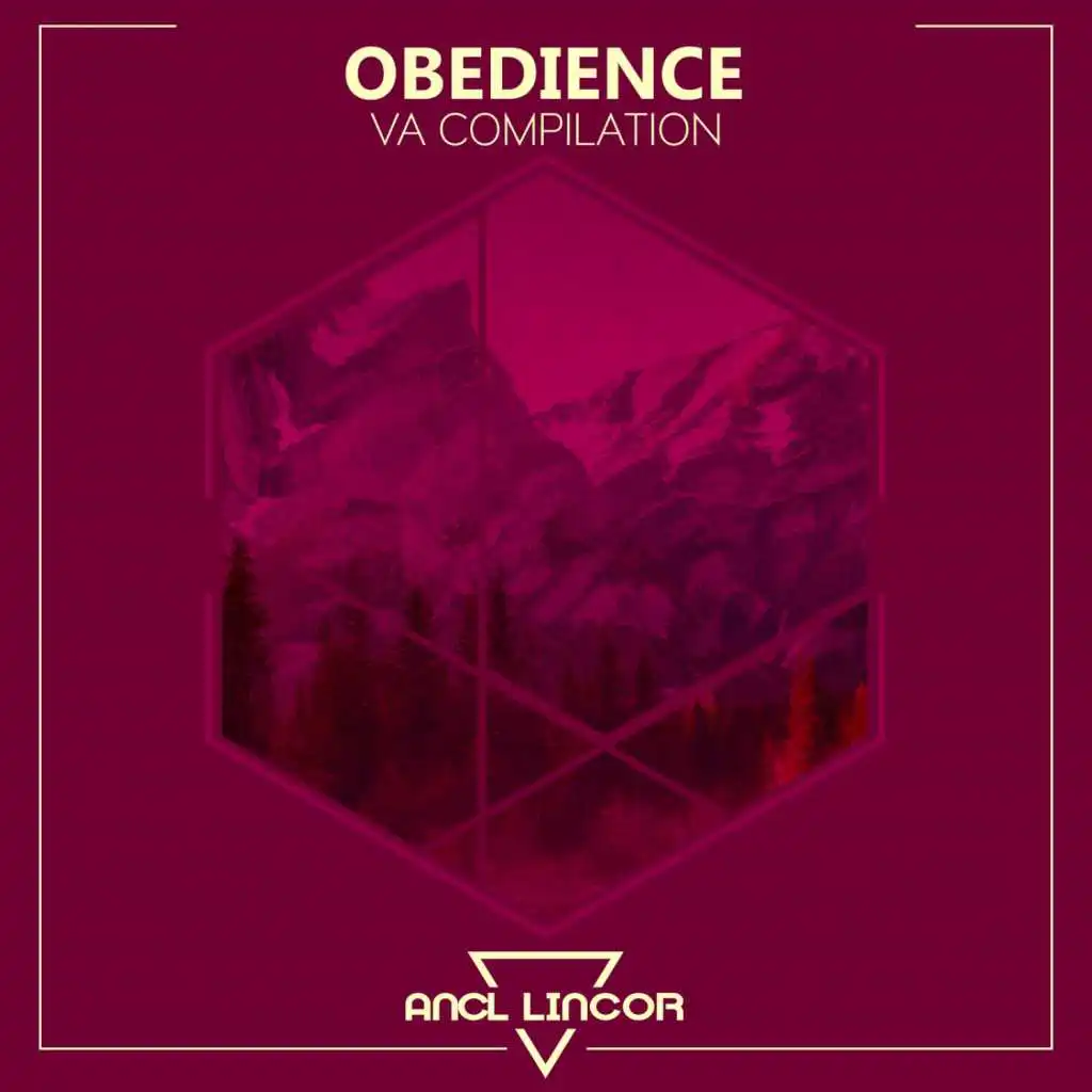 Another Space (Following Light Remix)