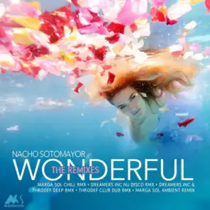 Wonderful (Dreamers Inc & ThroDef Deep Rmx Radio Edit)
