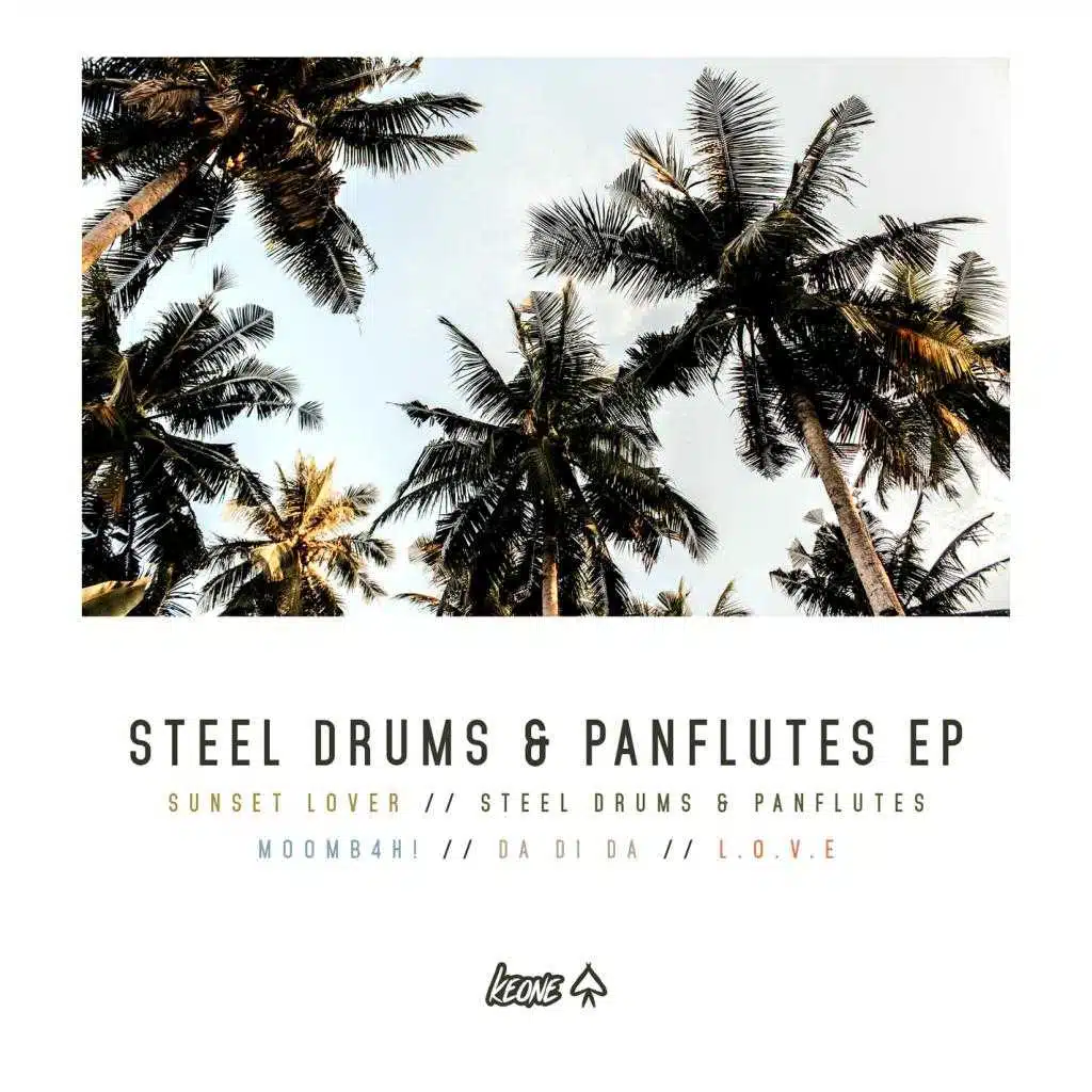 Steel Drums & Panflutes EP (Radio Edit)
