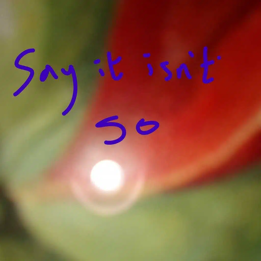 say it isn't so (feat. Leebo & Nick Plytas)