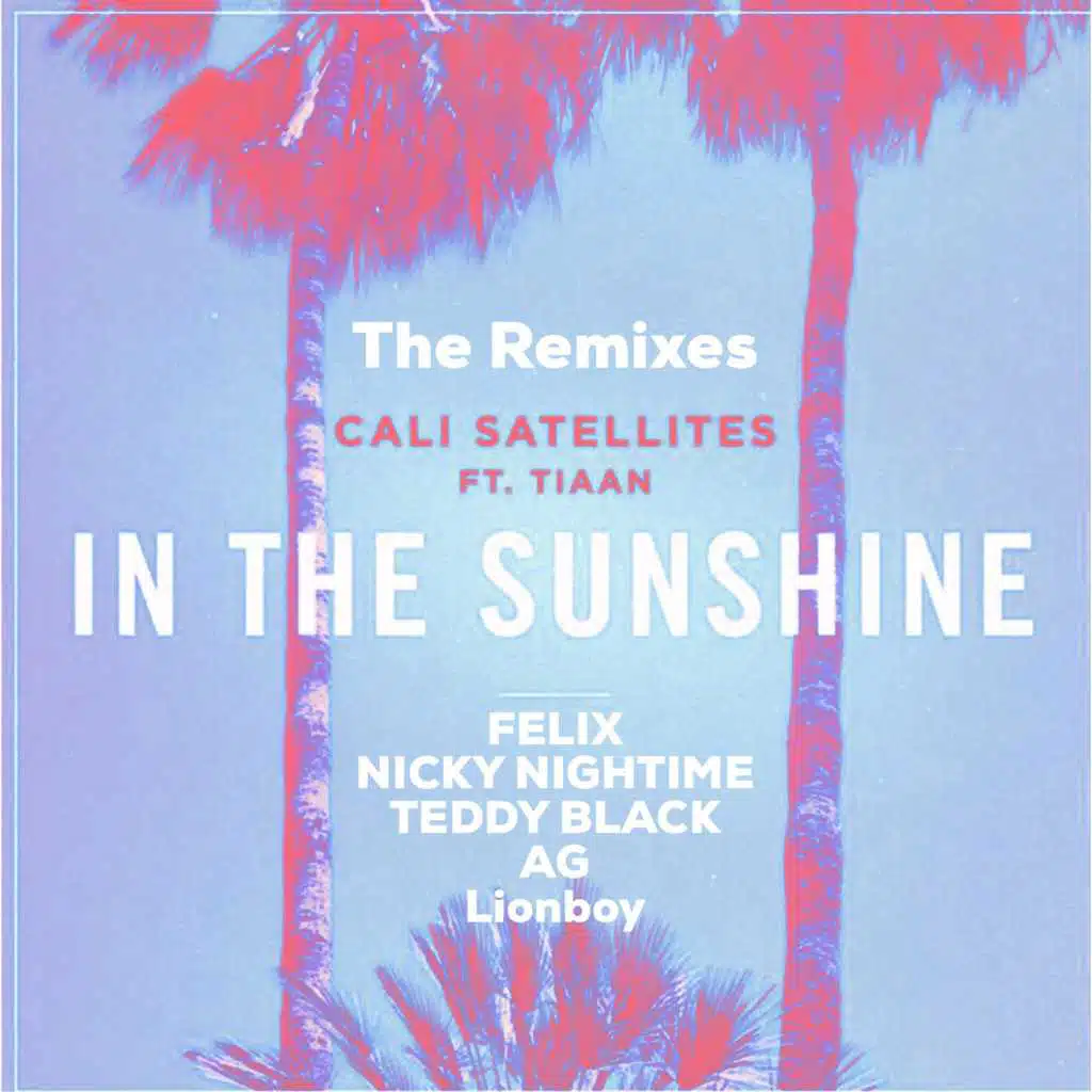 In the Sunshine (The Remixes)