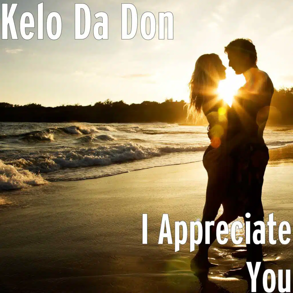 I Appreciate You (feat. D-Nice)