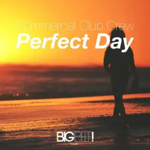 Perfect Day (Chudazz Remix Edit)