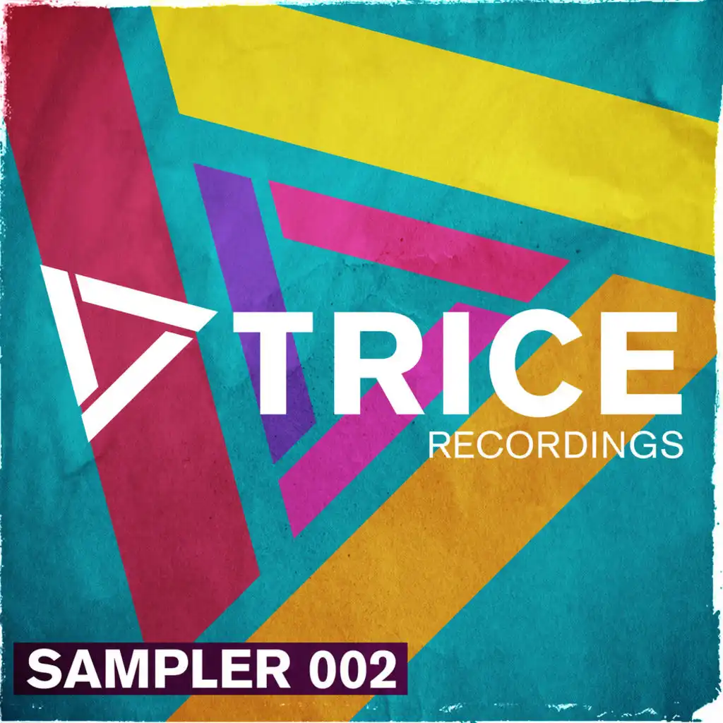 Trice Recordings Sampler, Vol. 2