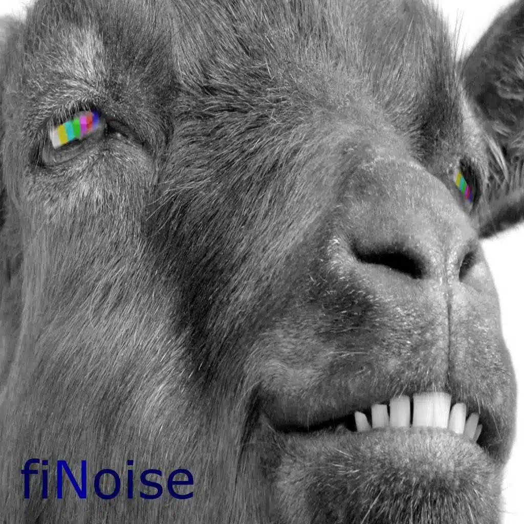 fiNoise