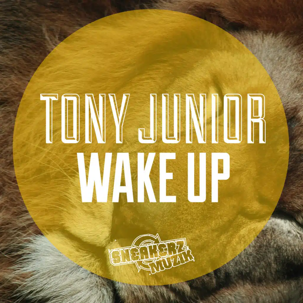 Wake Up (Original Mix)