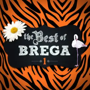 The Best Of Brega - Vol. 1