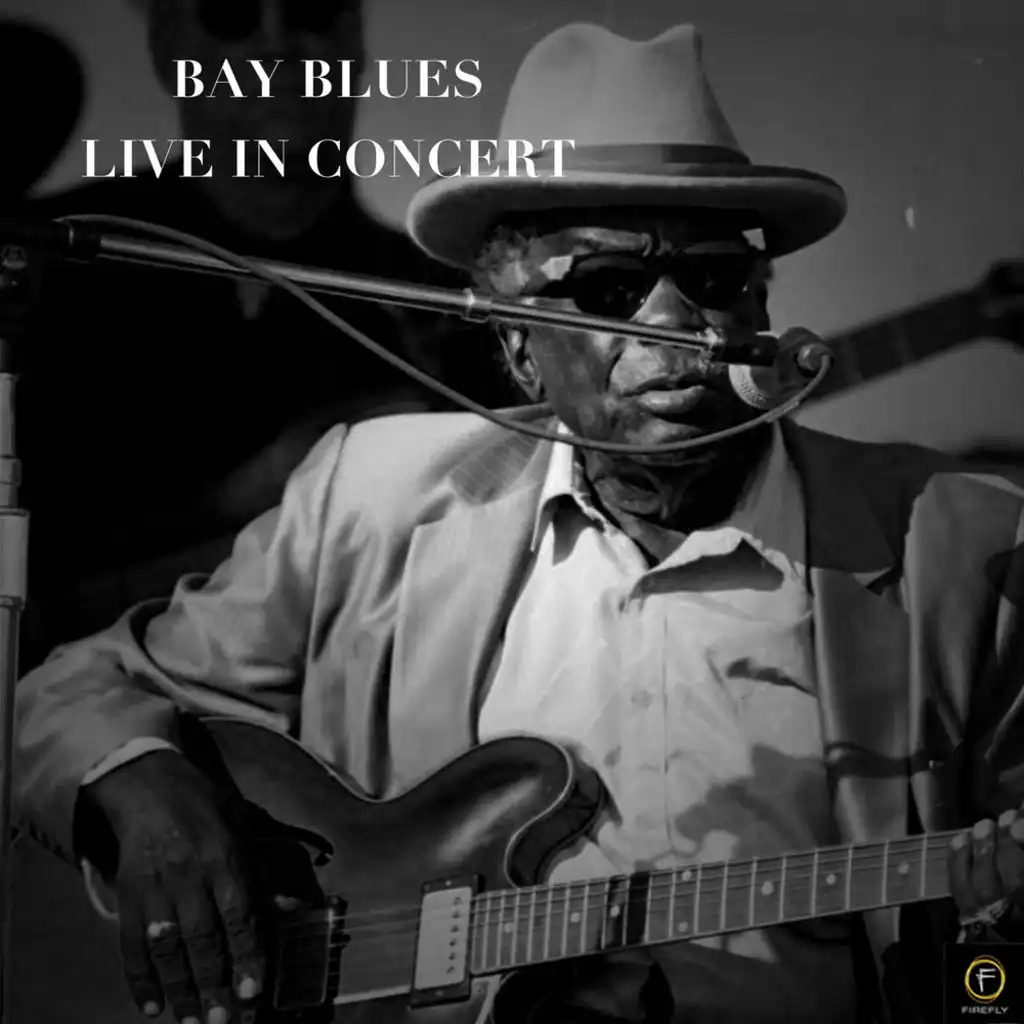 Bay Blues Live In Concert