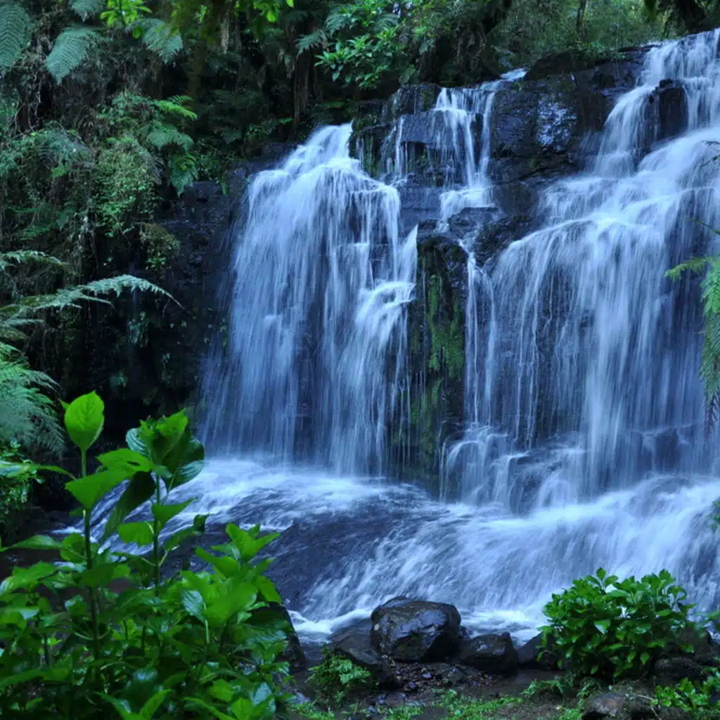 Mahler - Symphony No 1; Massenet - Scenes Pitoresques