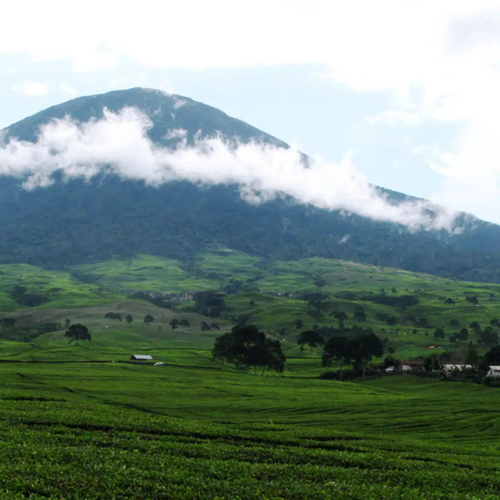 Khachaturian - Concerto for Violin; Mendelssohn - Concerto for two Pianos