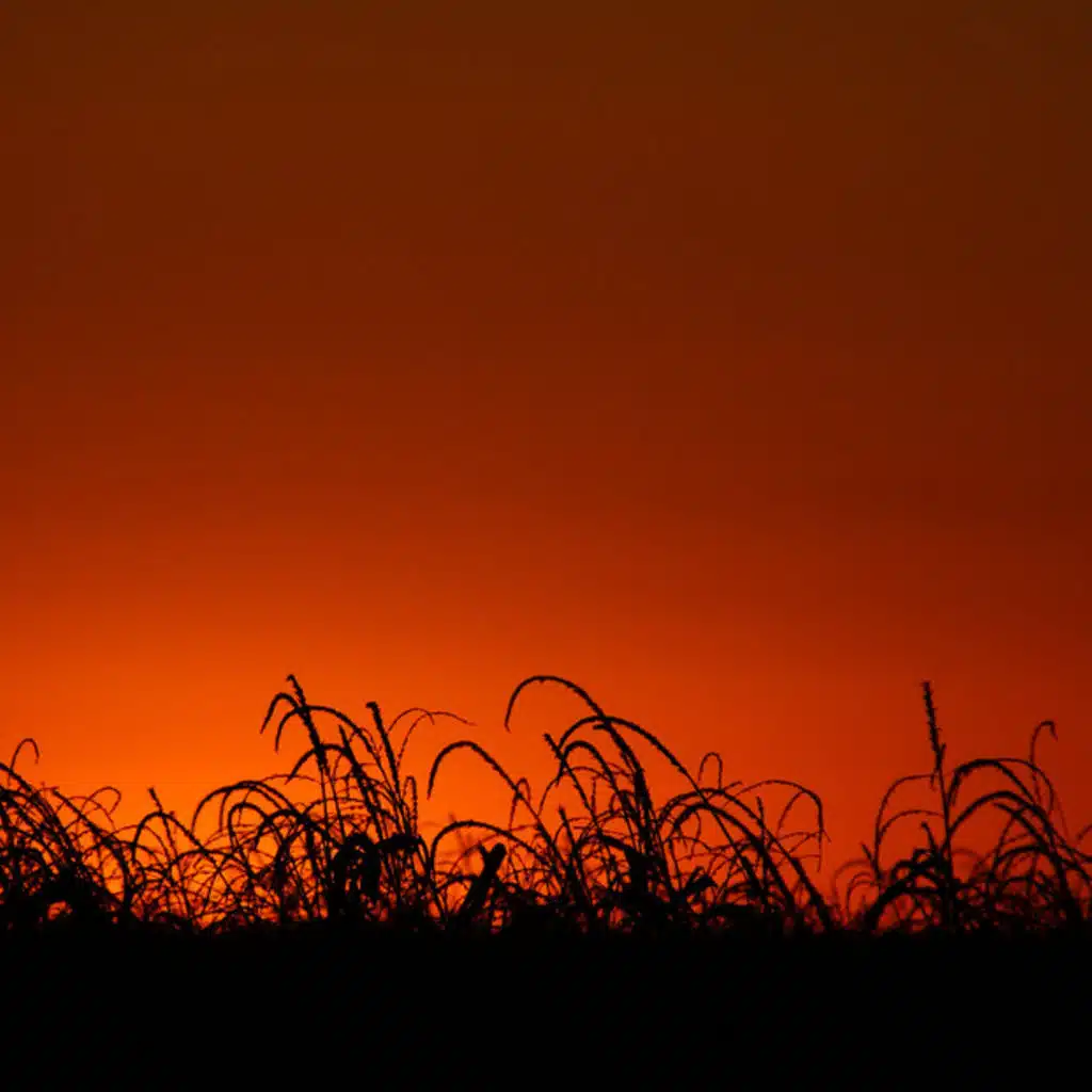 Tchaikovsky - Oxana's Caprices (Tcherevichki), Opera