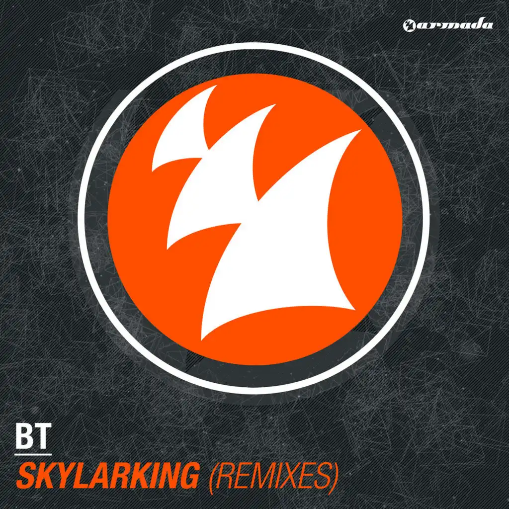 Skylarking (Maor Levi Remix)