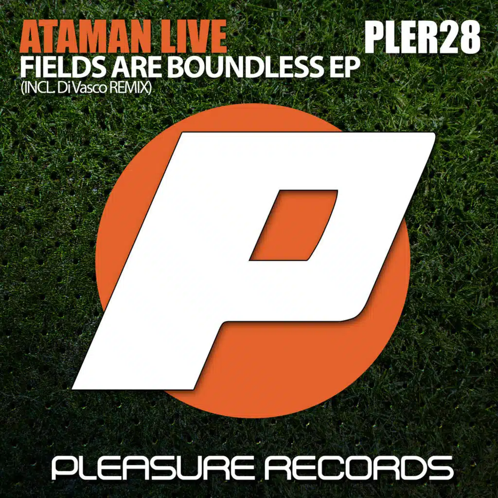 Fields Are Boundless (DiVasco Remix)