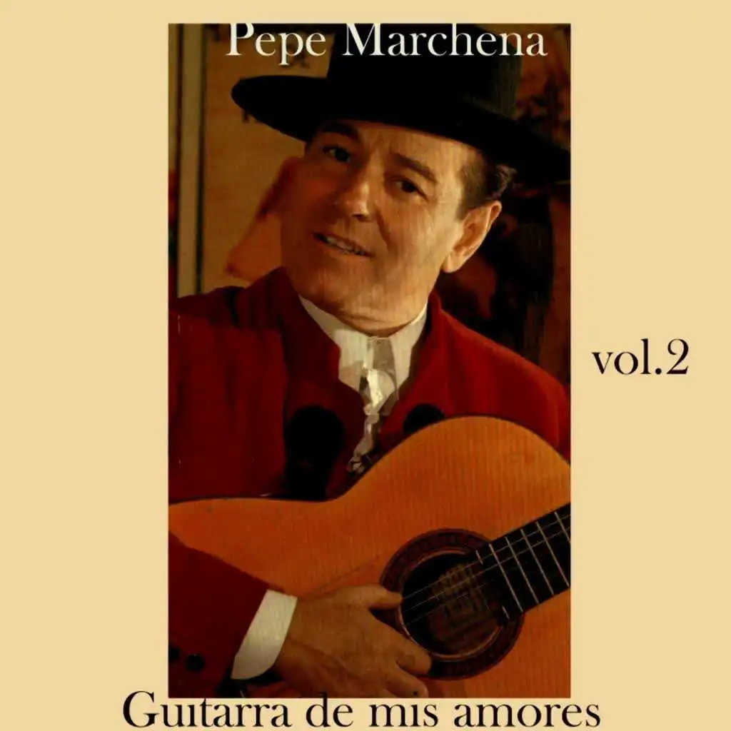 Guitarra de Mis Amores (Vol. 2)