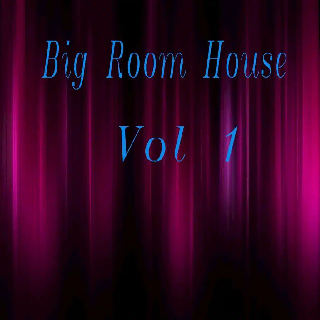 Big Room House, Vol. 1