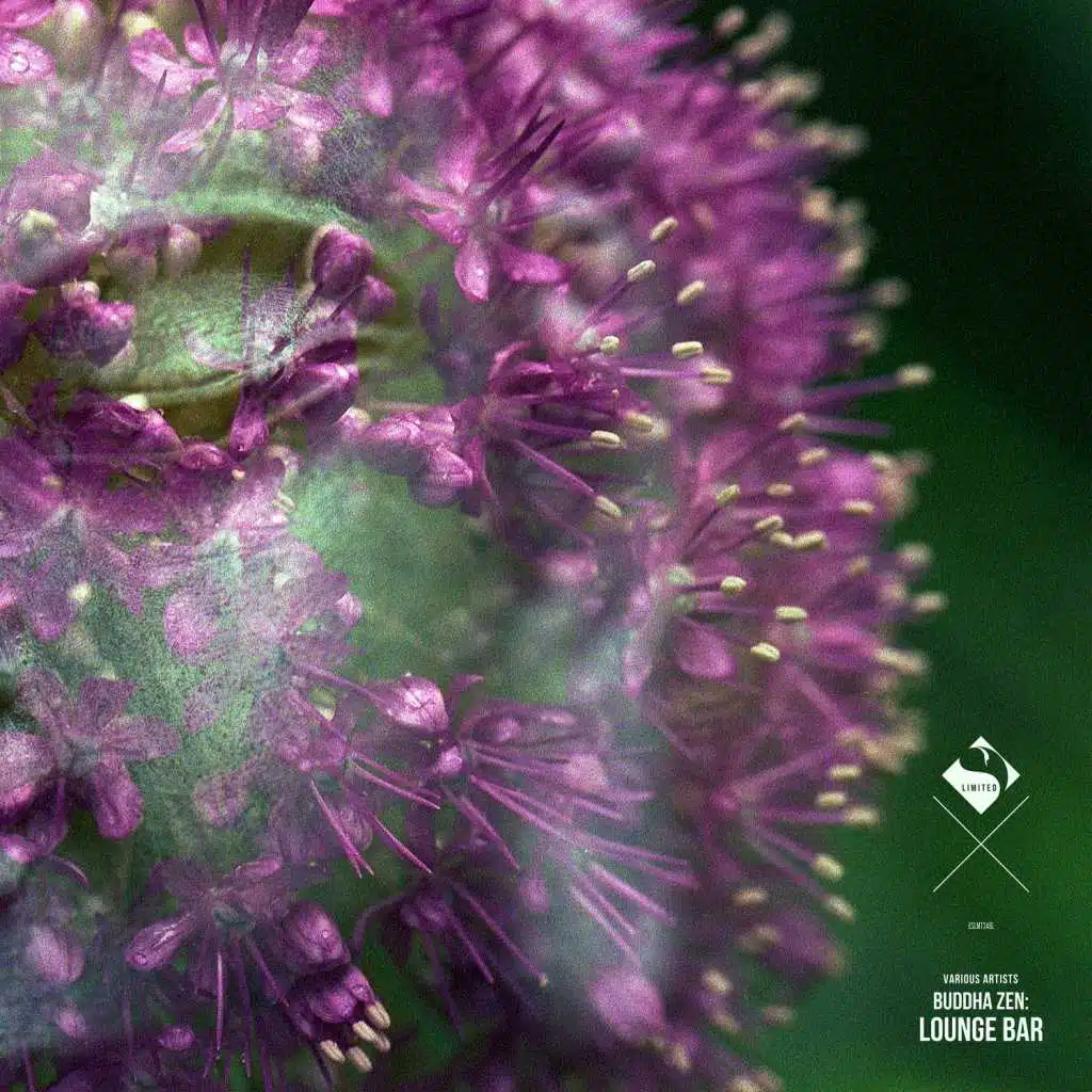 Sunset (feat. Alexander Gecko)