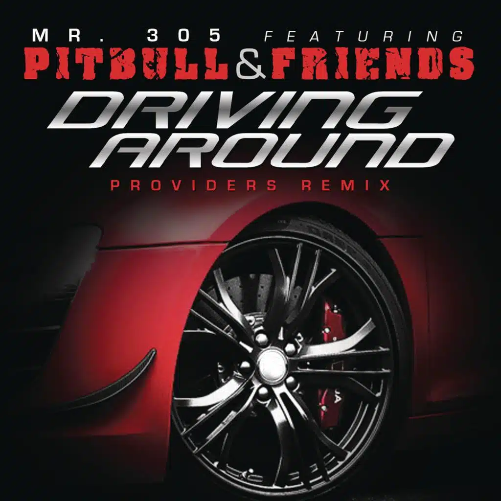 Driving Around (Providers Remix Radio Edit) [feat. Pitbull, David Rush & Vein]