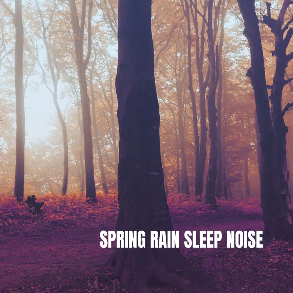 Rain Sound: Sleeping Sounds