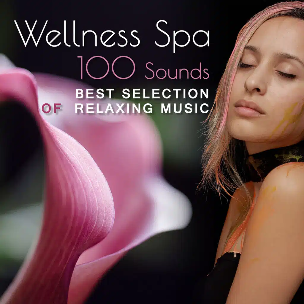 Zen Garden (Nature Sounds)