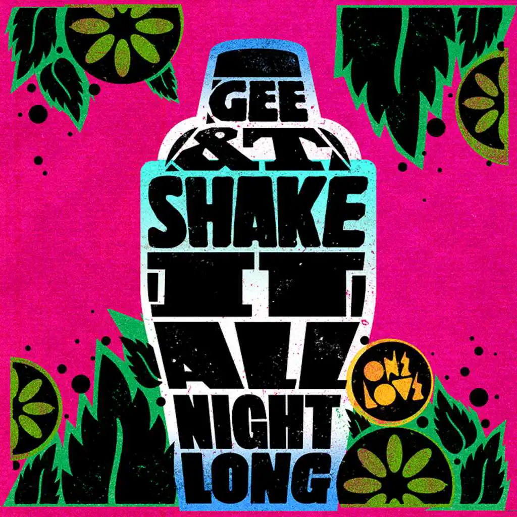 Shake It (All Night Long) (Danny T Remix)