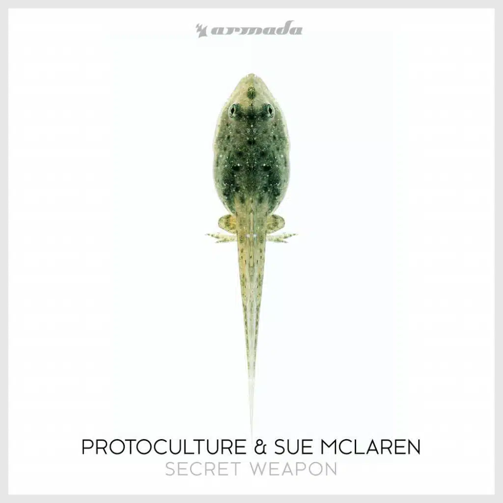Protoculture & Sue McLaren