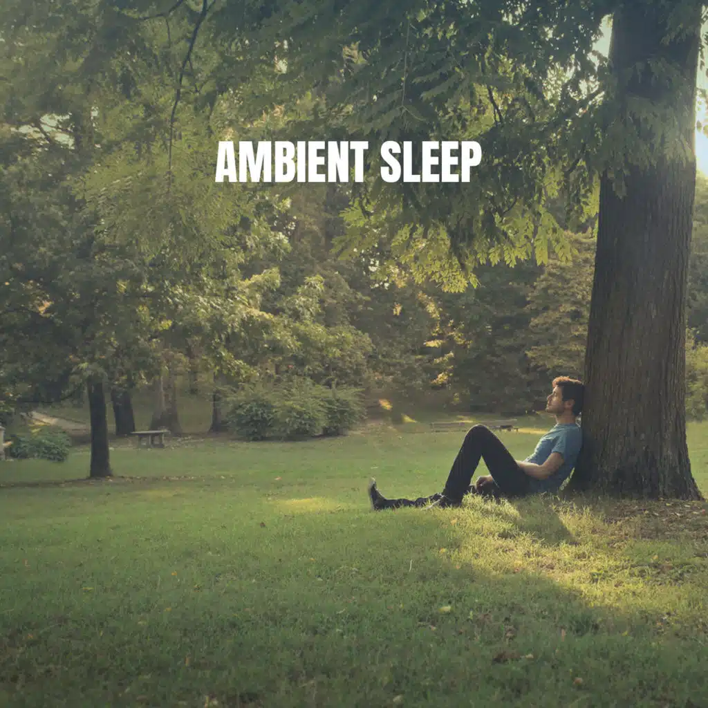 Ambient Sleep
