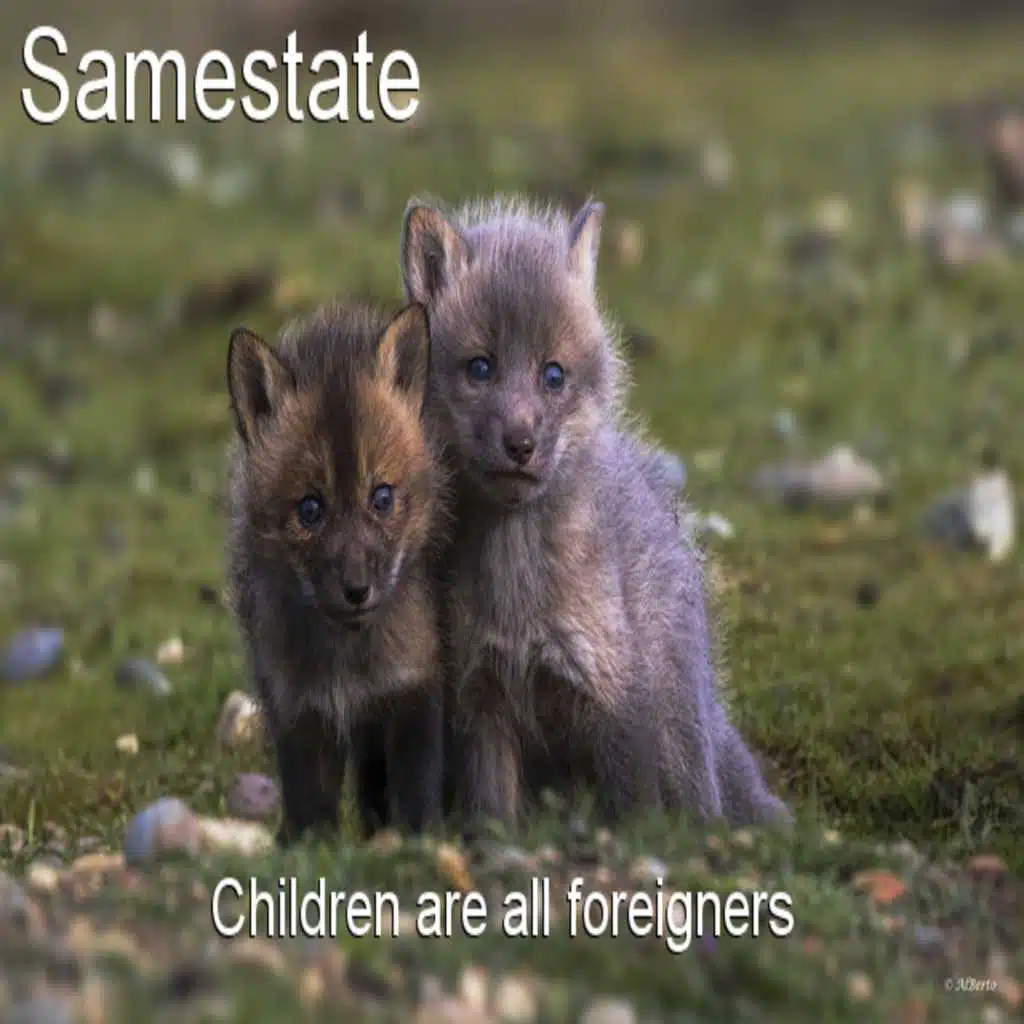 Children Are All Foreign