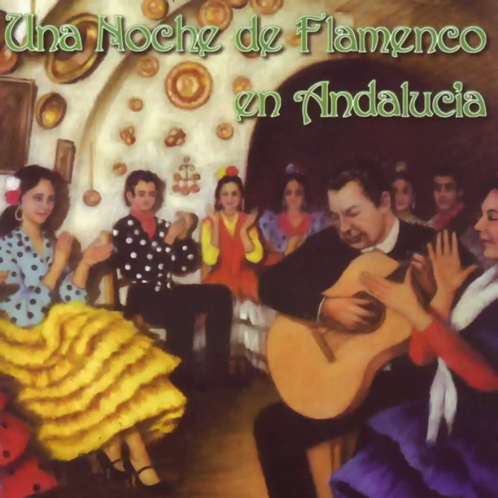 Una Noche de Flamenco en Andalucía