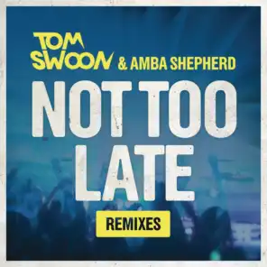 Not Too Late (Bassnectar & PatrickReza Remix)