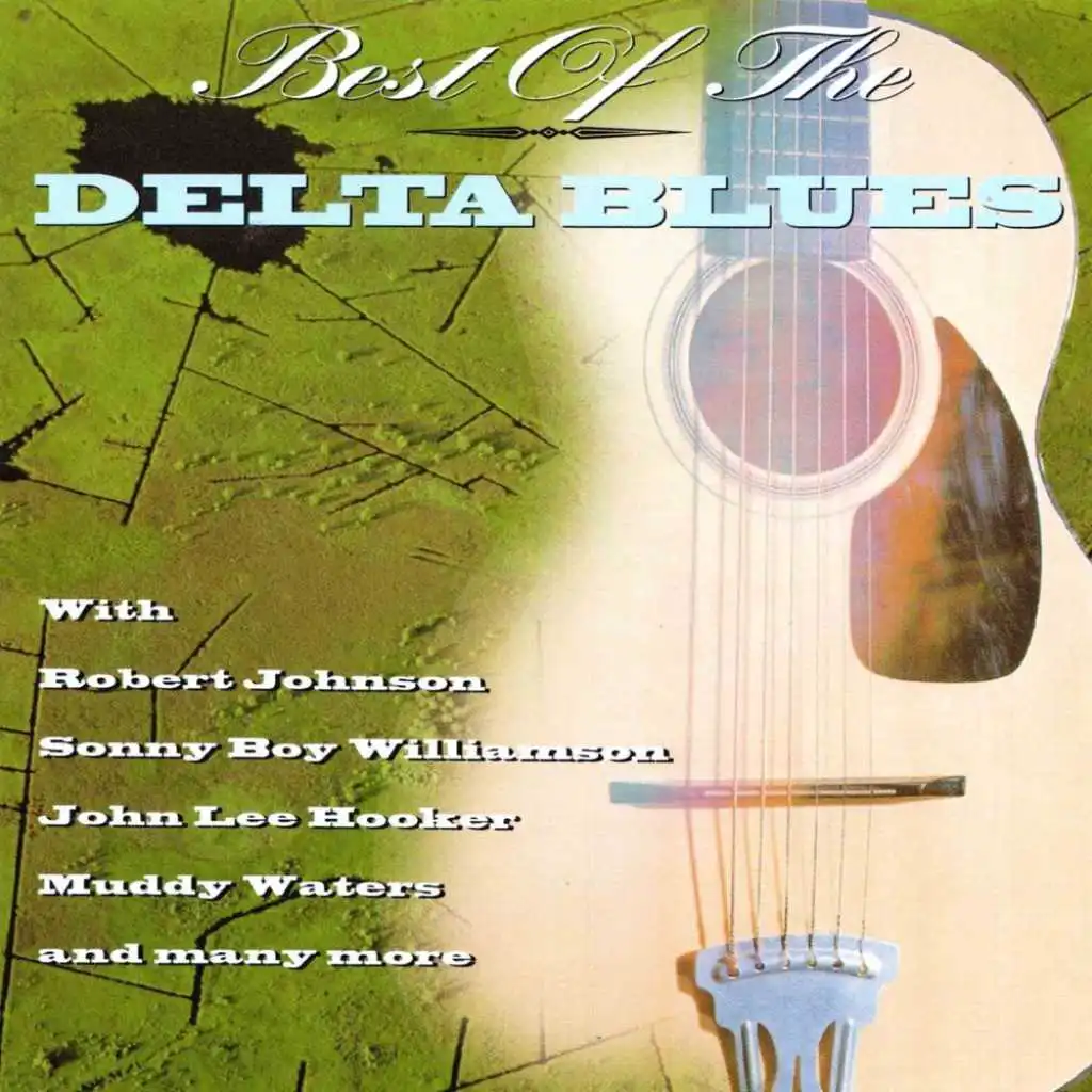Best Of The Delta Blues