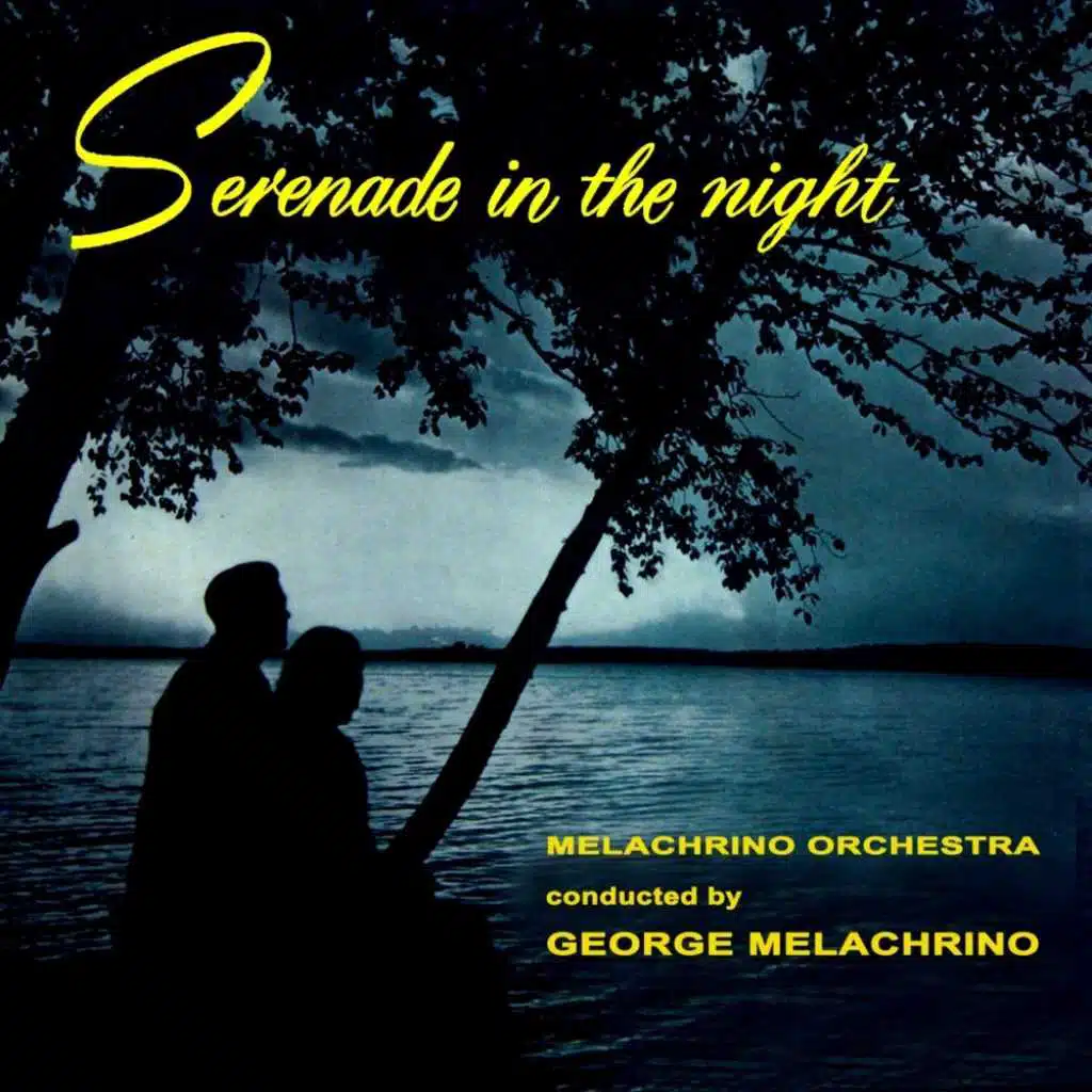 Serenade In The Night